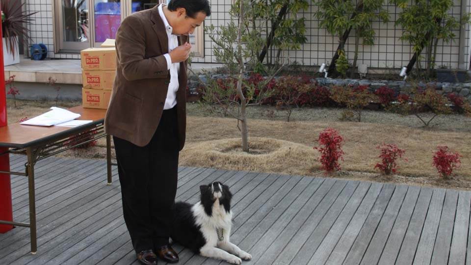 犬のしつけ教室画像7