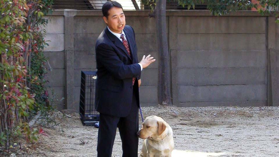 犬のしつけ教室画像1