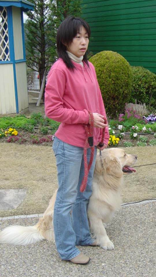 犬のしつけ教室画像2