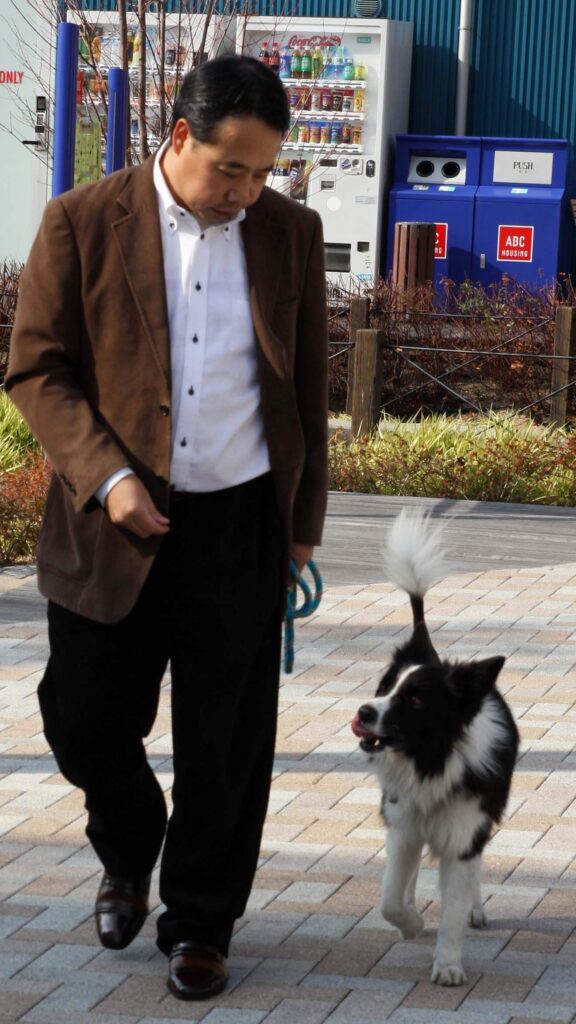 犬のしつけ教室画像3