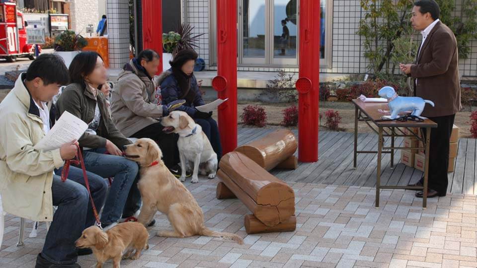 犬のしつけ教室画像6