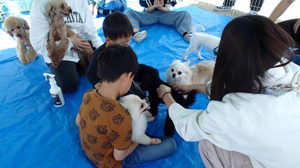 犬のふれあいイベント画像7
