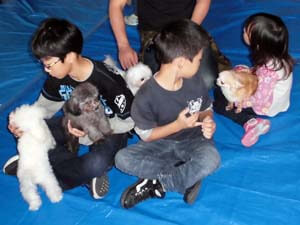 犬のふれあいイベント画像2