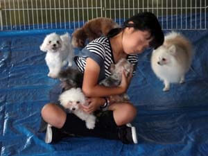 犬のふれあいイベント画像1
