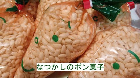 人参ポンの画像
