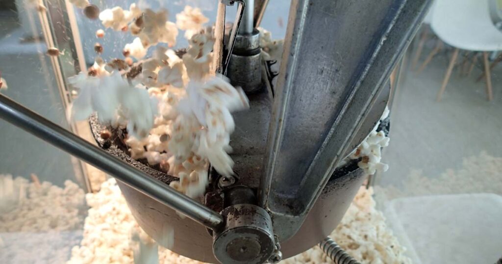 ポップコーンがはじけている画像